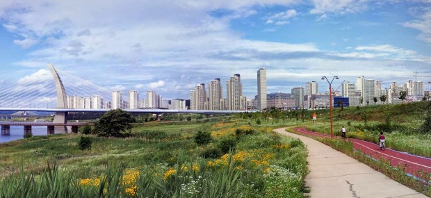 Sejong City, South Korea is seen from the bike trail on Thursday, June 5, 2014. Sejong City plans to have 350 kilometers of bicycle paths throughout the city. (Salgu Wissmath/ The Sejong Dish)